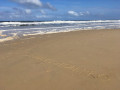 gold coast2